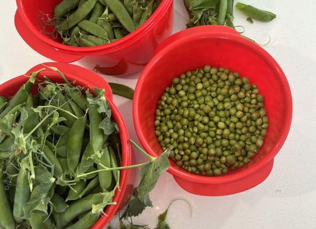 Насколько выгодна посадка картофеля. Сколько времени и средств уходит на обслуживание картофеля. Уточняю некоторые моменты