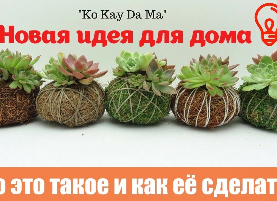 Что такое кокедама и как сделать своими руками