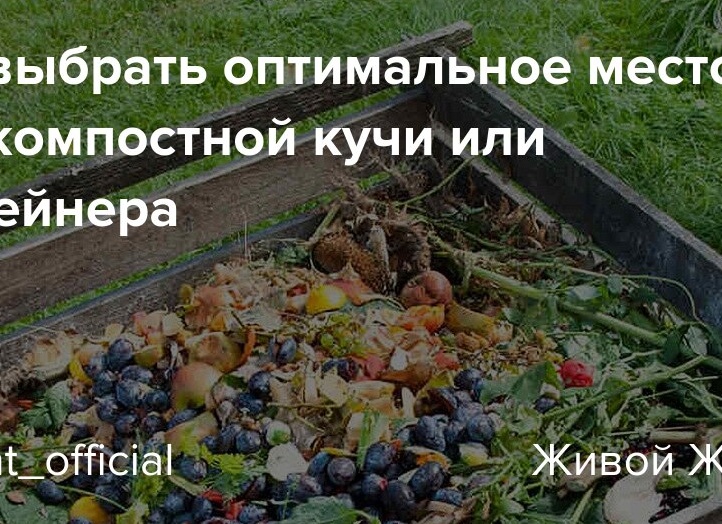 Как выбрать оптимальное место для компостной кучи или контейнера